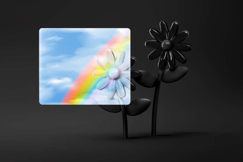 Image of a flower beneath a rainbow