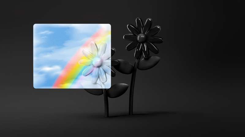 Image of a flower beneath a rainbow